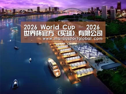案例展示八