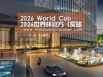 案例展示二