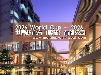 案例展示一