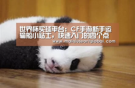 世界杯买球平台:CF手游新手运输船小贴士,快速入门的四个点位(图3) 世界杯买球