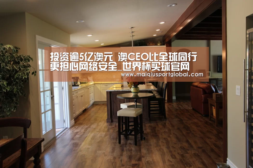 投资逾5亿澳元 澳CEO比全球同行更担心网络安全_世界杯买球官网(图2) 世界杯买球网站
