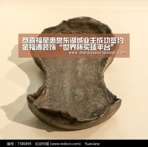 恭喜福星惠誉东湖城业主成功签约金福源装饰“世界杯买球平台”(图3) 世界杯买球网站