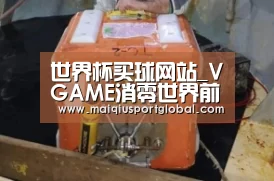世界杯买球官网